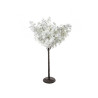 Arbre cerisier BLANC 1M pm location