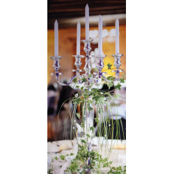 Chandelier 50 cm argent 5 têtes location