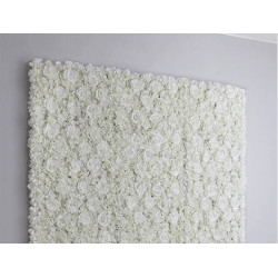 Mur de fleur blanche...