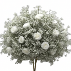 Boule de fleur gypsophiles...